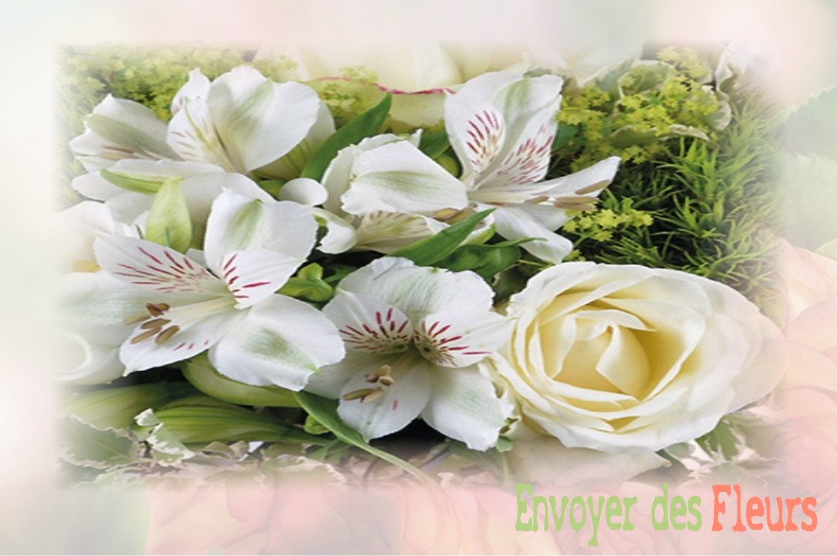 envoyer des fleurs à à DOMMARTIN-LES-CUISEAUX