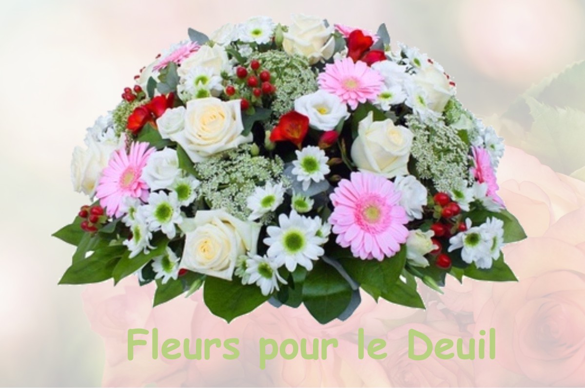 fleurs deuil DOMMARTIN-LES-CUISEAUX
